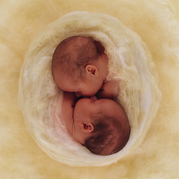 "Samuel & Ryan" Photo: © Anne Geddes