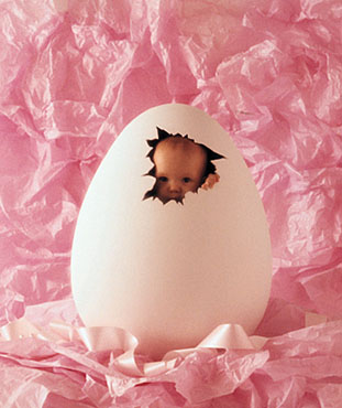 April 1993 Photo: © Anne Geddes