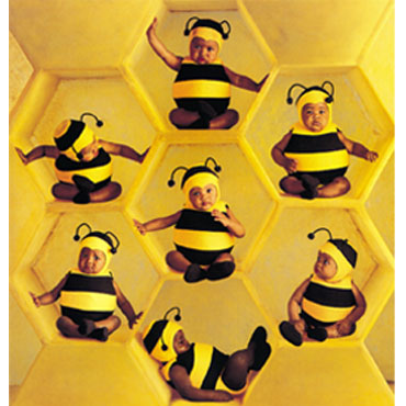 "Bumblebees" Photo: © Anne Geddes