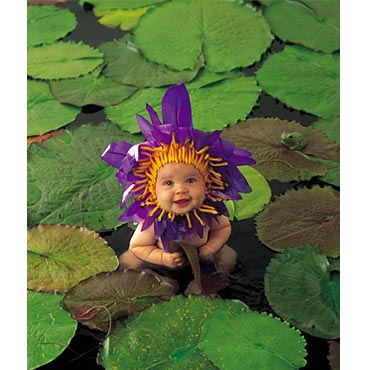 "Waterlily" Photo: © Anne Geddes