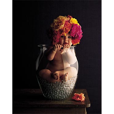 "Vase of Roses" Photo: © Anne Geddes