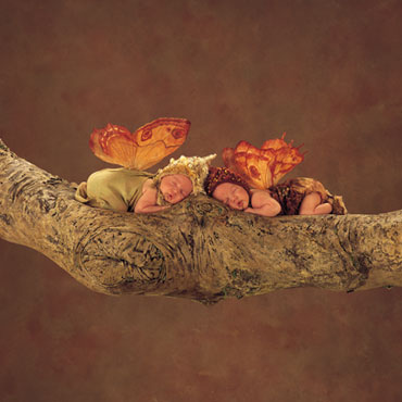 "Branch Pixies" Photo: © Anne Geddes