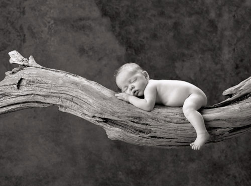 Oktober 1999 Photo: © Anne Geddes