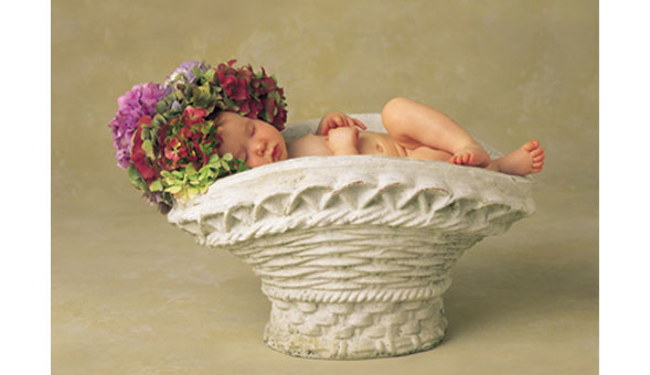 "Hydrangea Planter" Photo: © Anne Geddes