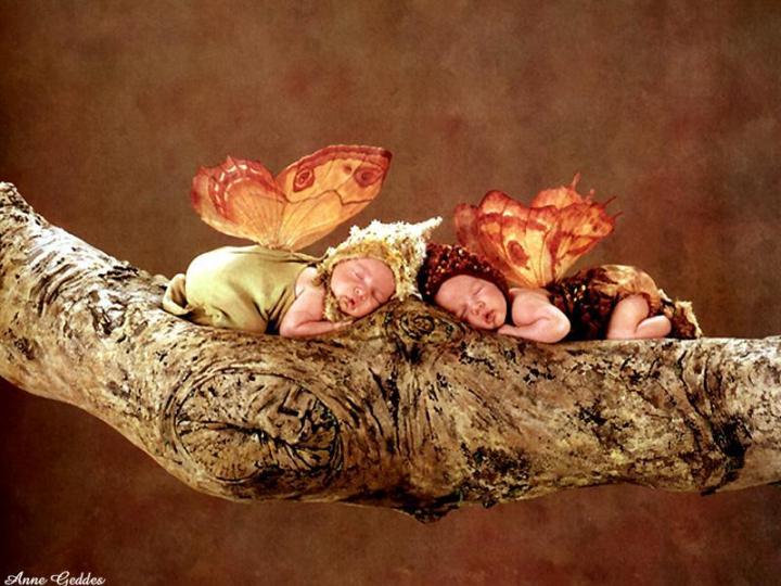 "Branch Pixies" Photo: © Anne Geddes