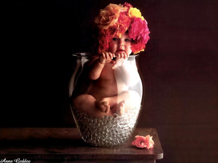 "Vase of Roses" Photo: © Anne Geddes