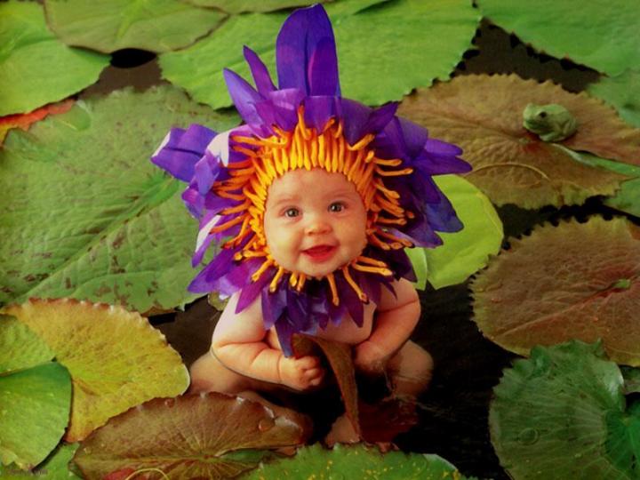 "Waterlily" Photo: © Anne Geddes