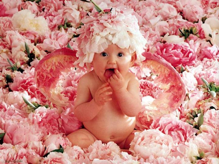 "Peony Angel" Photo: © Anne Geddes